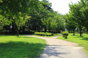 Naklejka premium 公園