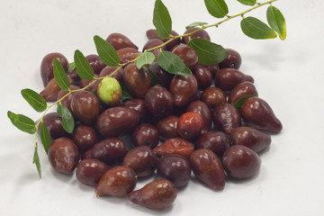 frutto rosso autunnale con ramo giuggiola 