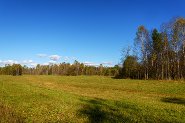 Sunny glade in autumn, trees and sky with clouds