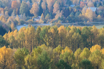 Autumn rural landscape. Village framed by trees and yellow-green foliage. Dmitrov district, Moscow Region, Russia.
