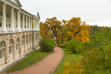 Fototapeta na wymiar Autumn in the forest. Walk in the Park. Saint-Petersburg.