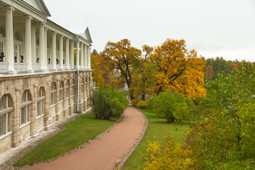Autumn in the forest. Walk in the Park. Saint-Petersburg.