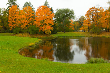 Autumn in the forest. Walk in the Park. Saint-Petersburg.