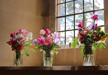 Sweet pea flower arrangements in glass jars on a windowsill