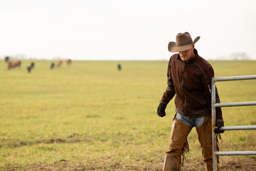 Cowboy shutting fence to pasture after moving cattle to new ground