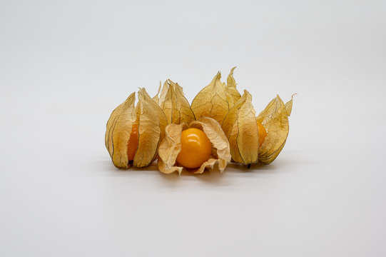 physalis (physalis, golden, gooseberry) isolated on white background