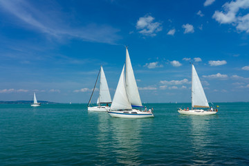 Sail Boats on the blue Lake Balaton Hungary
