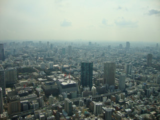 view to tokyo city at summer