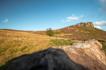 Scenic Hillside at Warm Sunny Evening