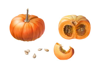 Pumpkin Pencil Illustration Isolated on White  with Clipping Path