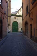 Fototapeta na wymiar Magnificent Doors Of Florence Italy