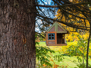 Paints of Autumn. Birdhouse on a Tree