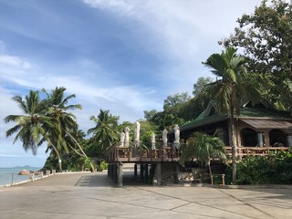Palm trees at the beach © Sandra