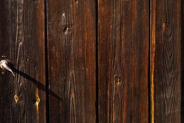 an old plank surface taken on a Sunny autumn day