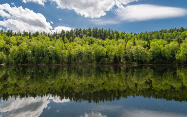 lake in deep forest in the boundary waters of minnesota
