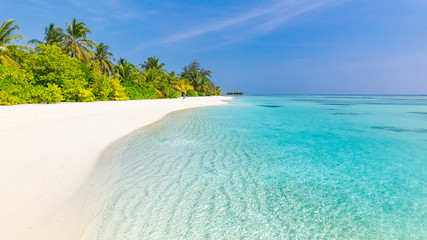 Tranquil beach scenery. Exotic tropical beach panorama for background or wallpaper. Amazing summer landscape, calm sea water and palm trees under blue sky and white sand. Vacation and holiday concept