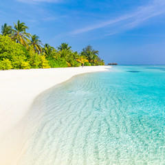 Landscape of paradise tropical island beach. Luxury design of tourism for summer vacation holiday destination concept.