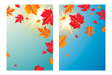 Autumn leaves with sunlight background vector illustration