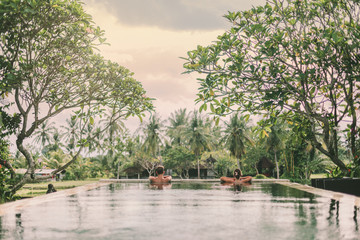 Infinity pool with a view on palm trees, Ubud, Bali