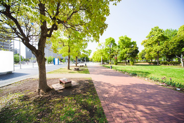 お台場の遊歩道（日本科学未来館前）