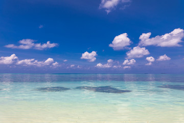 Fototapeta premium Clear aqua blue sea water and white sand beach. Exotic sea view