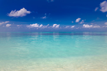 Fototapeta premium Clear aqua blue sea water and white sand beach. Exotic sea view