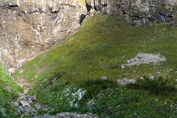 bavarian chamois on the mountains seen on a green steep field from far away