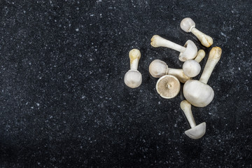 Fresh mushrooms. White champignons on dark textured background.