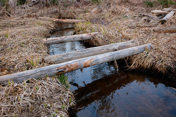 Improvised wooden bridge over small stream in the early spring forest