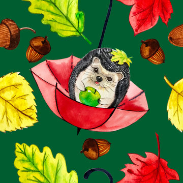 watercolor illustration. pattern hedgehog, umbrella and autumn leaves.
