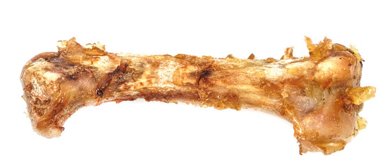 Small bones on a white background. food scraps. chicken bones