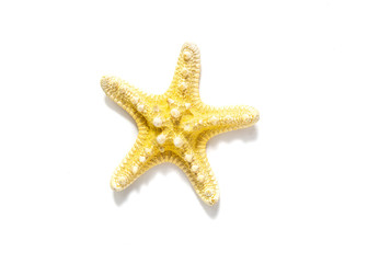 Starfish from the sea on a white isolated background. The concept of holidays and the import of souvenirs from the sea. Returning home from vacation. Sea shells isolated.