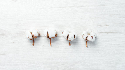 Cotton flowers. On a white wooden background. Flat lay.