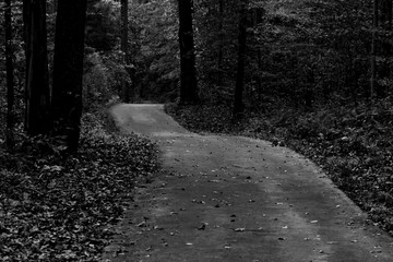 black and white version of trail at lake Wilhelm in sandy lake Pennsylvania 