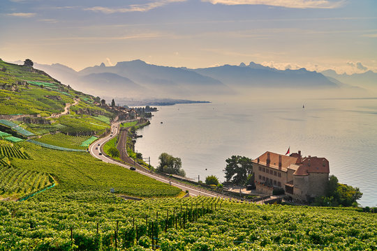 Lavaux
