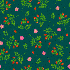 Seamless pattern with dogrose flowers, rosehip and branches