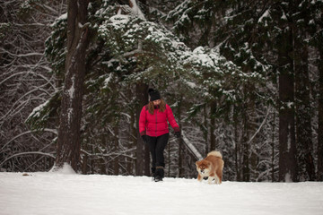 Portrait with a cute fluffy puppy. Winter walk with a dog.