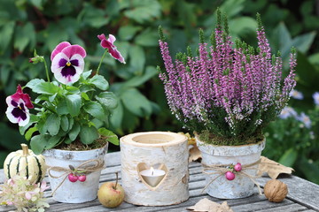 rustikale Gartendekoration mit Laterne und Blumen in Pink
