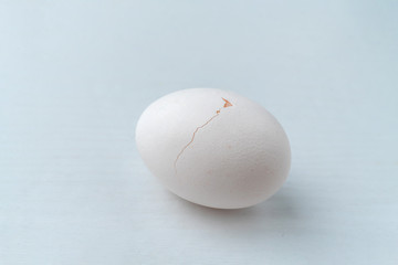 macro of the egg skin or shell surface with a small crack on it