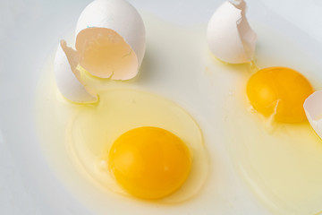 a broken white egg in the plate to prepare some food dishes