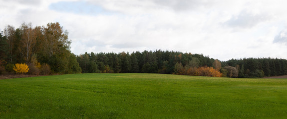 Fototapeta premium Panorama of an autumn landscape with a green field and forest in in yellow and green leaves, and a blue sky with gray clouds.