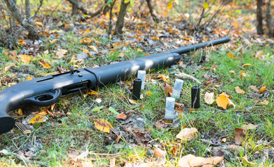 Shotgun and cartridges on the grass in the autumn forest