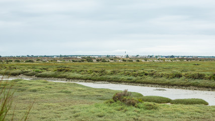 Marais salant île de Ré