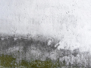 Wall with mold