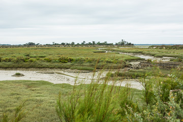 Marais salant île de Ré