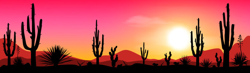 Evening in the cactus valley. Sunset in the Mexican desert. Silhouettes of stones, cacti and plants. Desert landscape with cacti. The stony desert