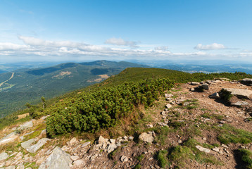 Fototapeta na wymiar photo on top of the mountain