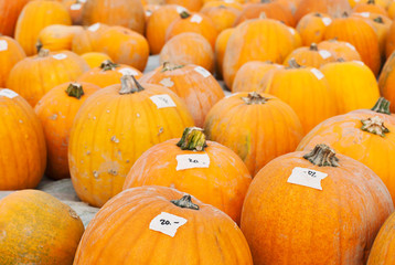 Pumpkins for sale in an autumn fair