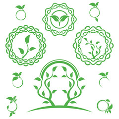 Bio organic logo. Set of abstract green leaf emblem. 