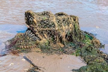 Marine pollution with discarded fishing net pots covered in seaweed and algae